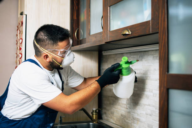 Best Pest Control Near Me in Chuluota, FL