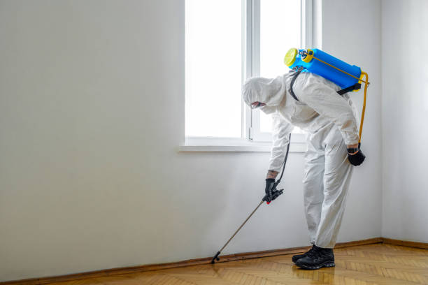Best Mosquito Control Services  in Chuluota, FL