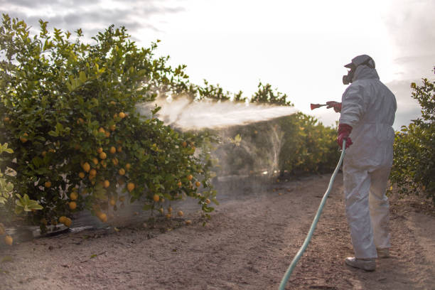 Best Affordable Pest Control Services  in Chuluota, FL