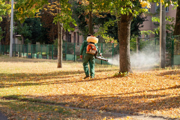 Wildlife Control Services in Chuluota, FL