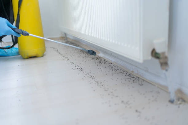 Best Pest Removal Services  in Chuluota, FL