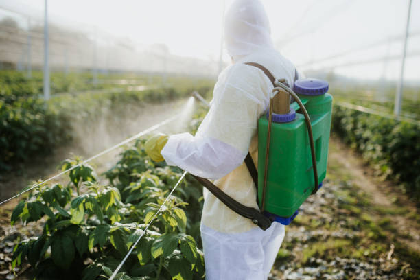 Best Bed Bug Extermination  in Chuluota, FL